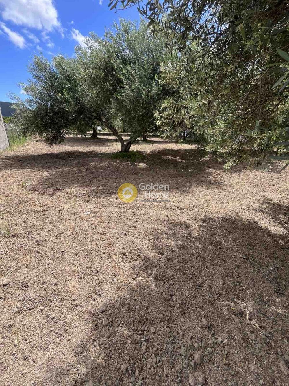 Building Plot in Agioi Theodoroi, Gazi — Photo 3 of 14