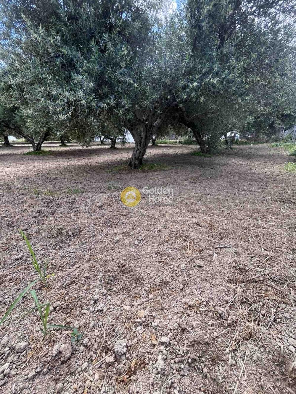Building Plot in Agioi Theodoroi, Gazi — Photo 6 of 14