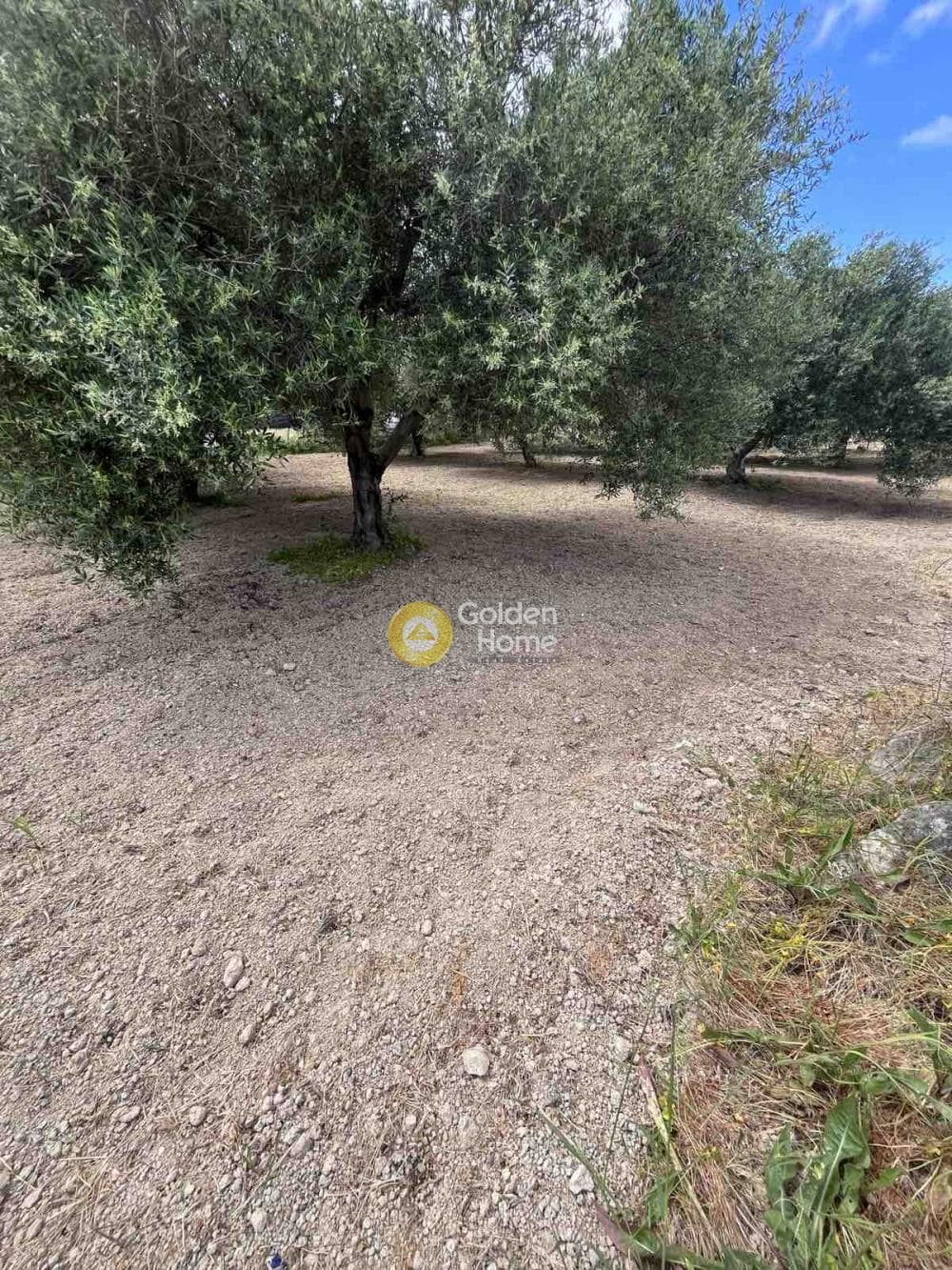 Building Plot in Agioi Theodoroi, Gazi — Photo 7 of 14