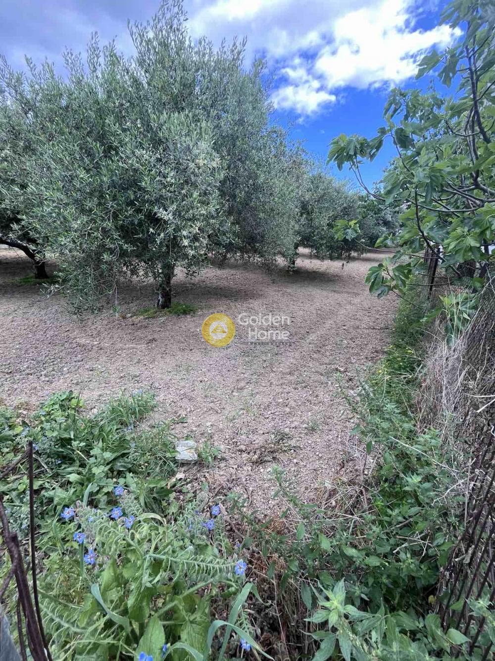 Building Plot in Agioi Theodoroi, Gazi — Photo 9 of 14