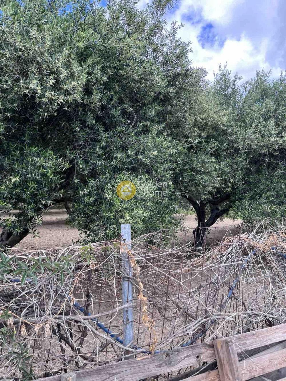 Building Plot in Agioi Theodoroi, Gazi — Photo 10 of 14