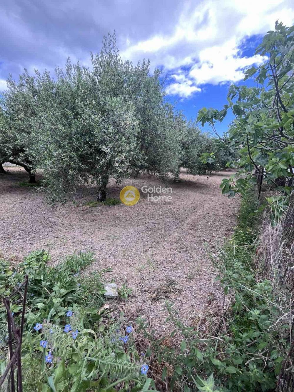 Building Plot in Agioi Theodoroi, Gazi — Photo 11 of 14
