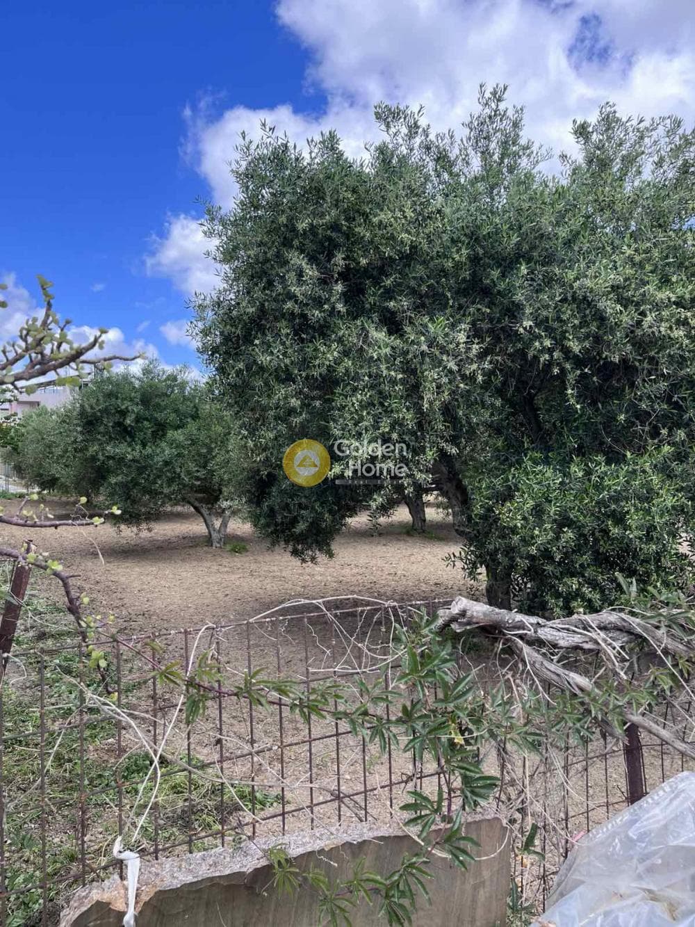 Building Plot in Agioi Theodoroi, Gazi — Photo 12 of 14