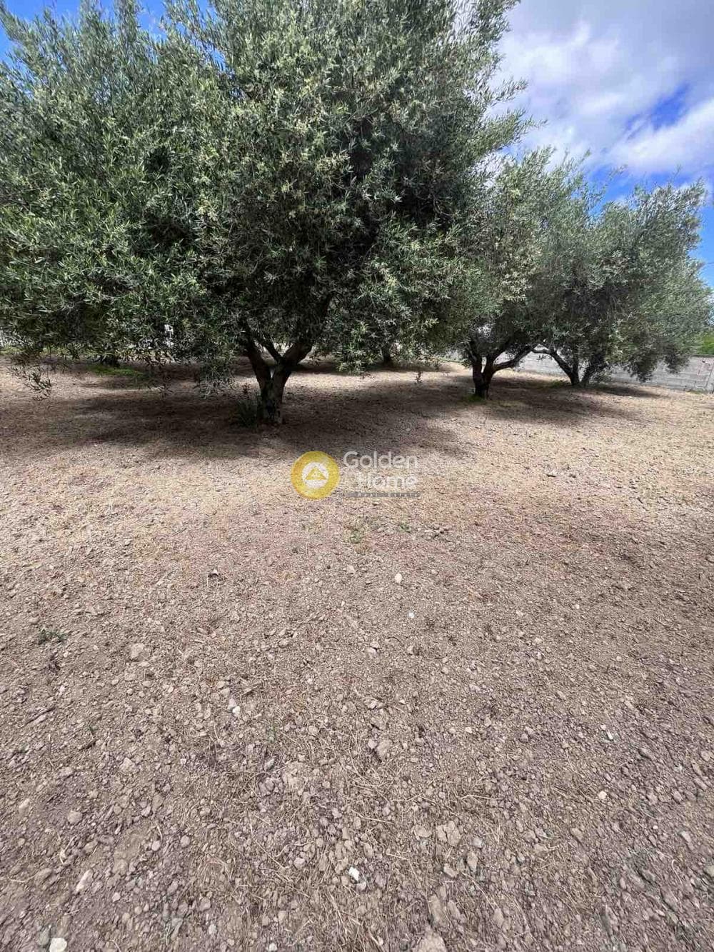 Building Plot in Agioi Theodoroi, Gazi — Photo 13 of 14