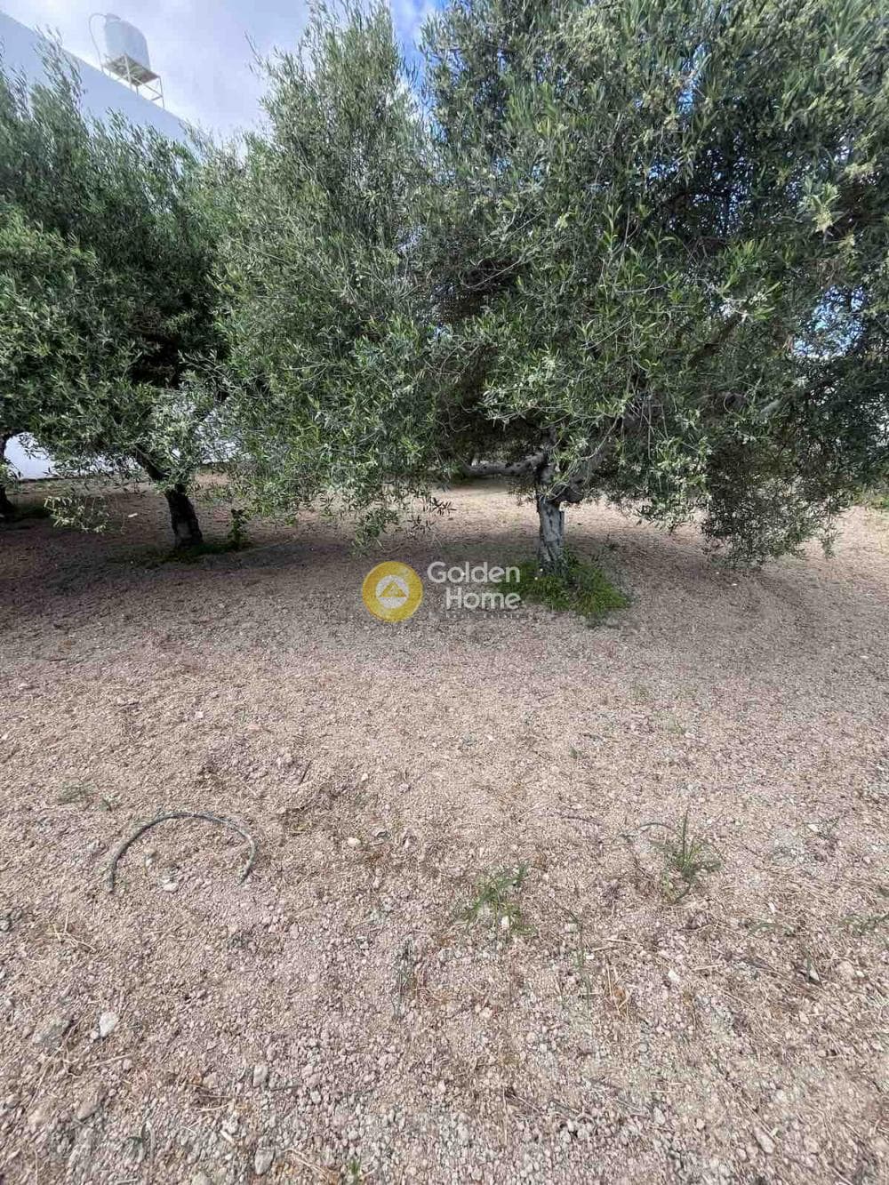 Building Plot in Agioi Theodoroi, Gazi — Photo 14 of 14