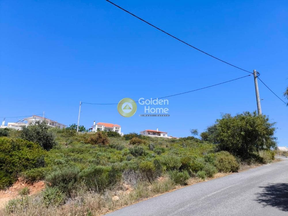 Building Plot in Neos Voutzas, Rafina — Photo 4 of 8