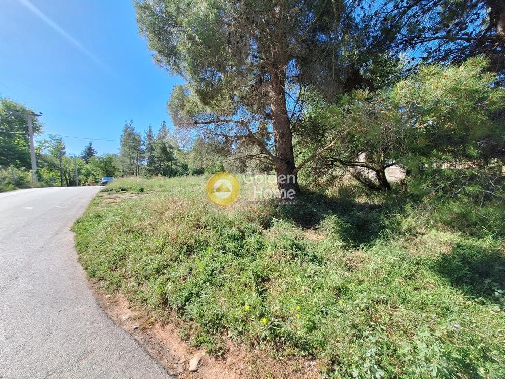 Building Plot in Kapitenia, Agios Stefanos — Photo 2 of 24