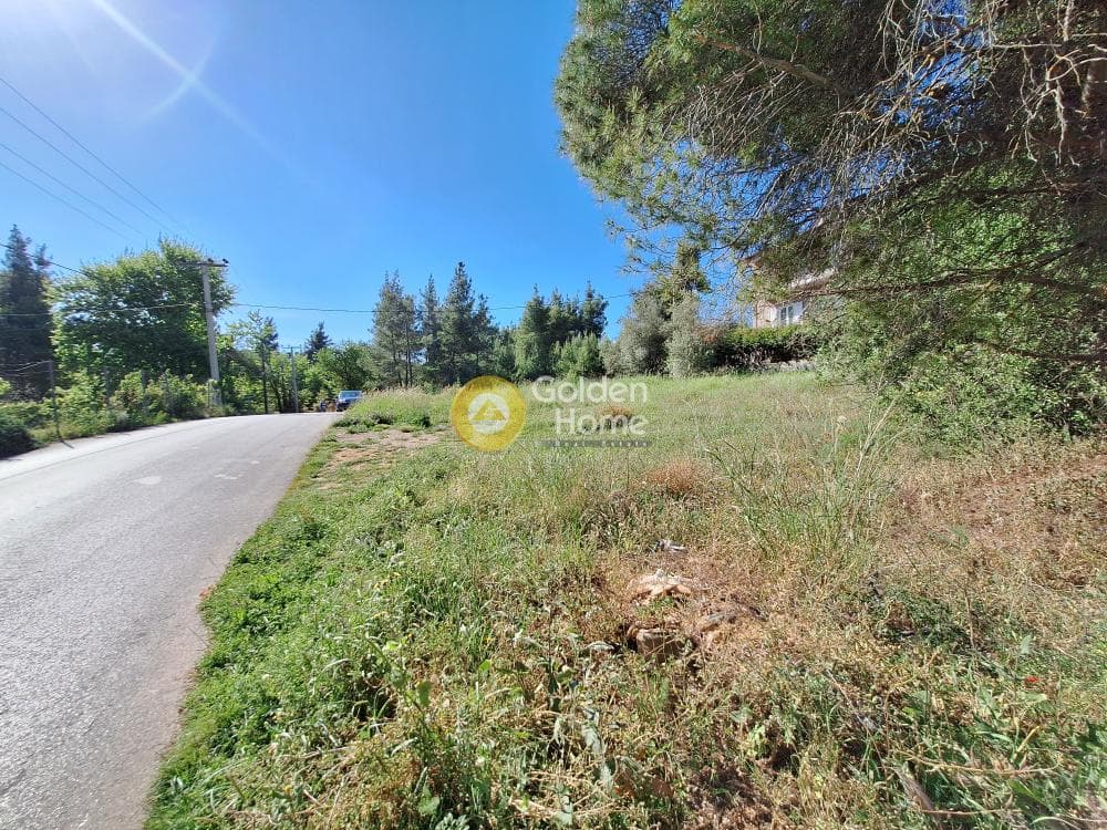 Building Plot in Kapitenia, Agios Stefanos — Photo 3 of 24