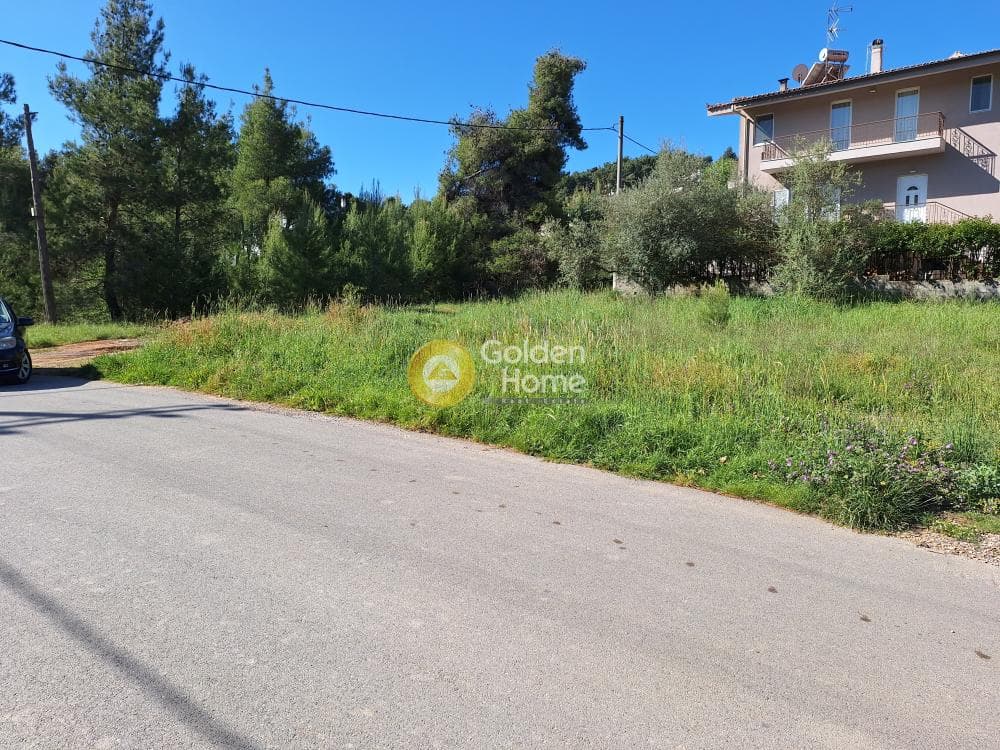 Building Plot in Kapitenia, Agios Stefanos — Photo 6 of 24