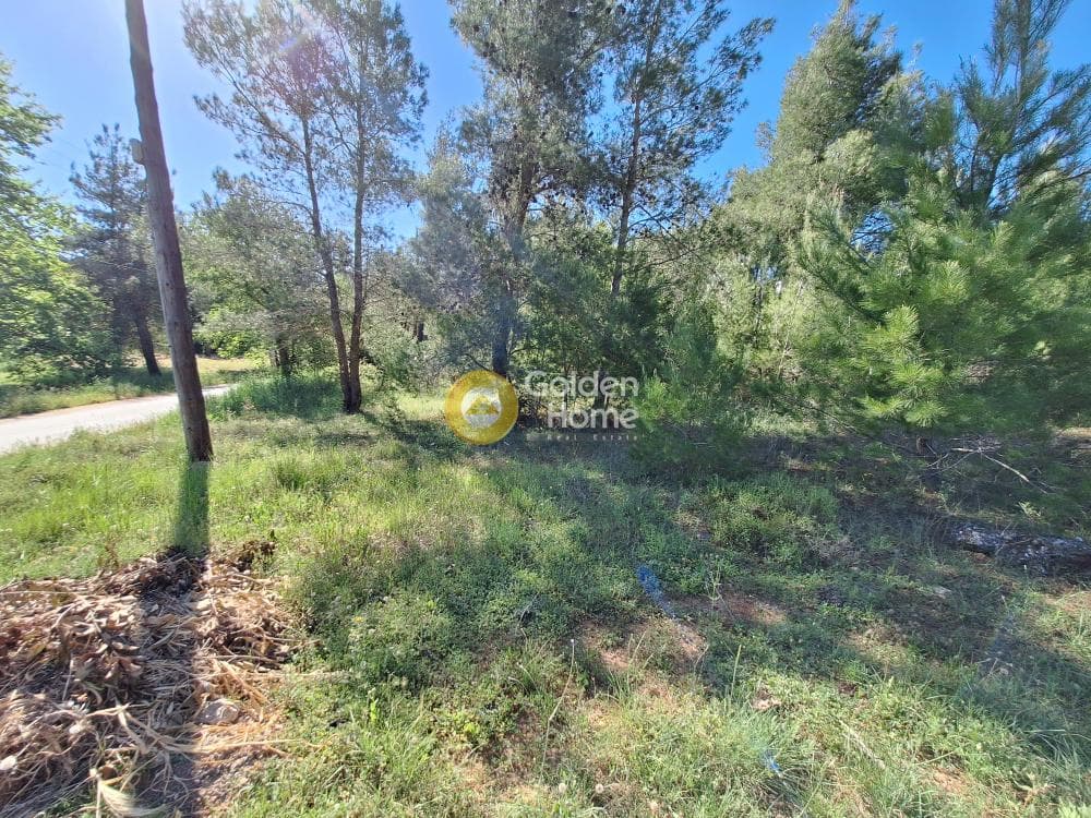 Building Plot in Kapitenia, Agios Stefanos — Photo 8 of 24