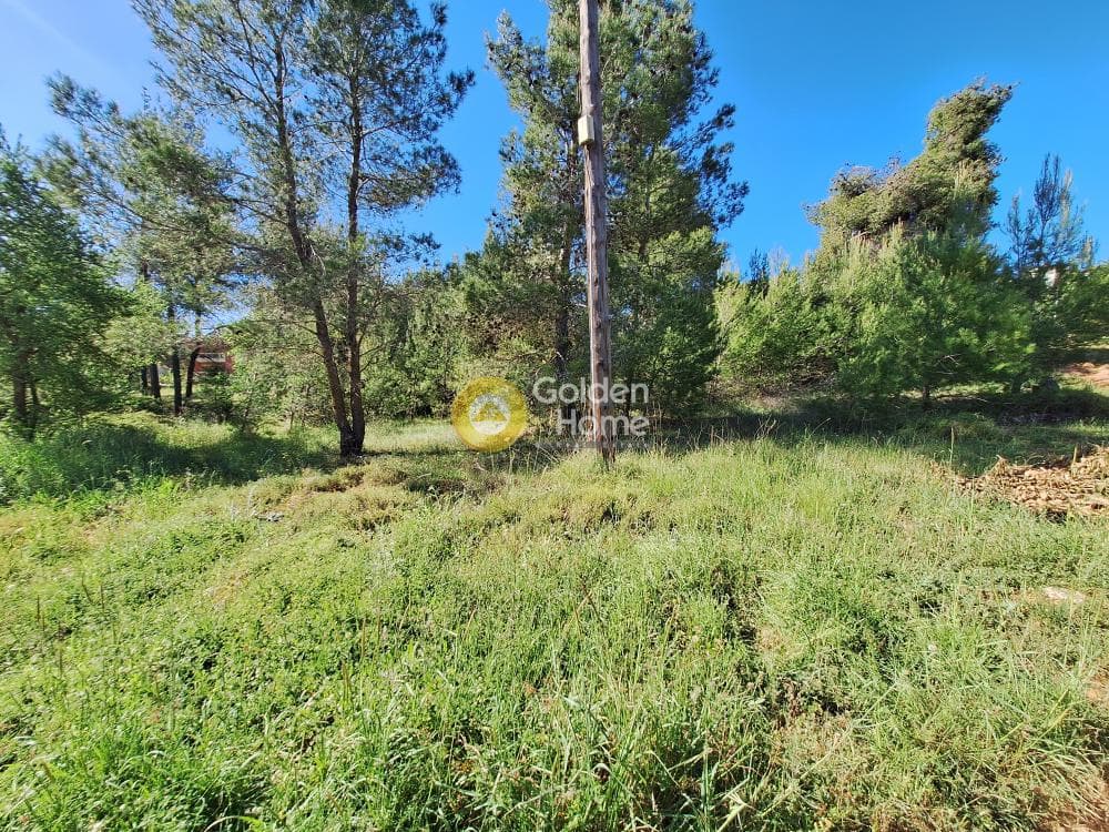 Building Plot in Kapitenia, Agios Stefanos — Photo 9 of 24