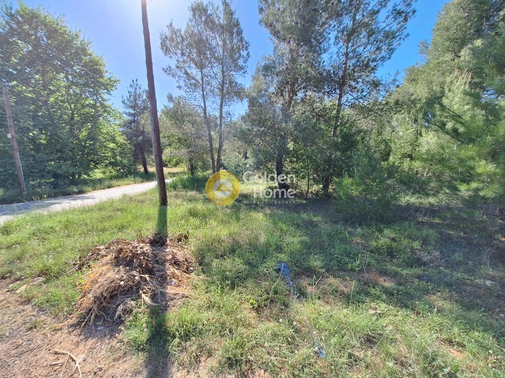 Building Plot in Kapitenia, Agios Stefanos — Photo 10 of 24