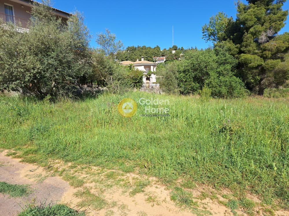 Building Plot in Kapitenia, Agios Stefanos — Photo 11 of 24
