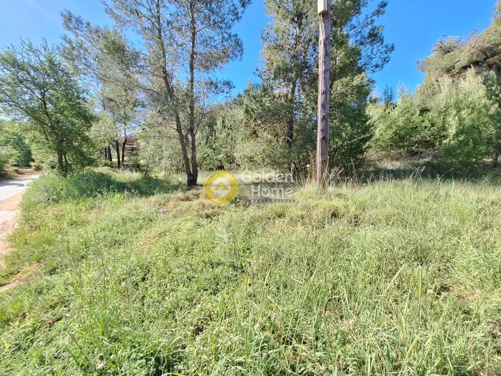 Building Plot in Kapitenia, Agios Stefanos — Photo 12 of 24
