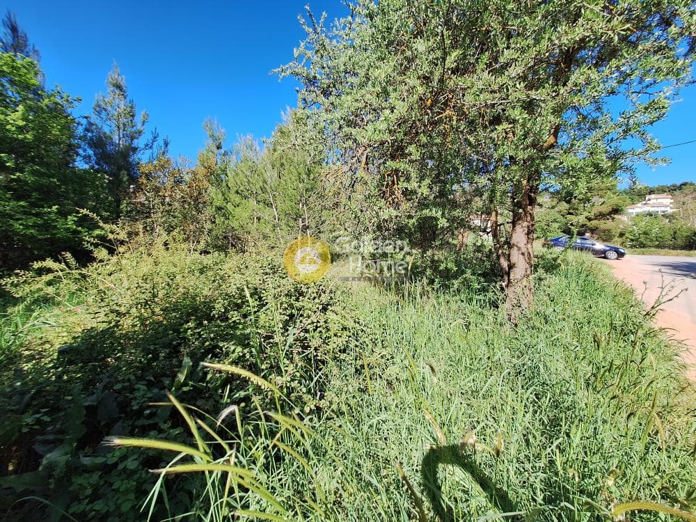 Building Plot in Kapitenia, Agios Stefanos — Photo 13 of 24