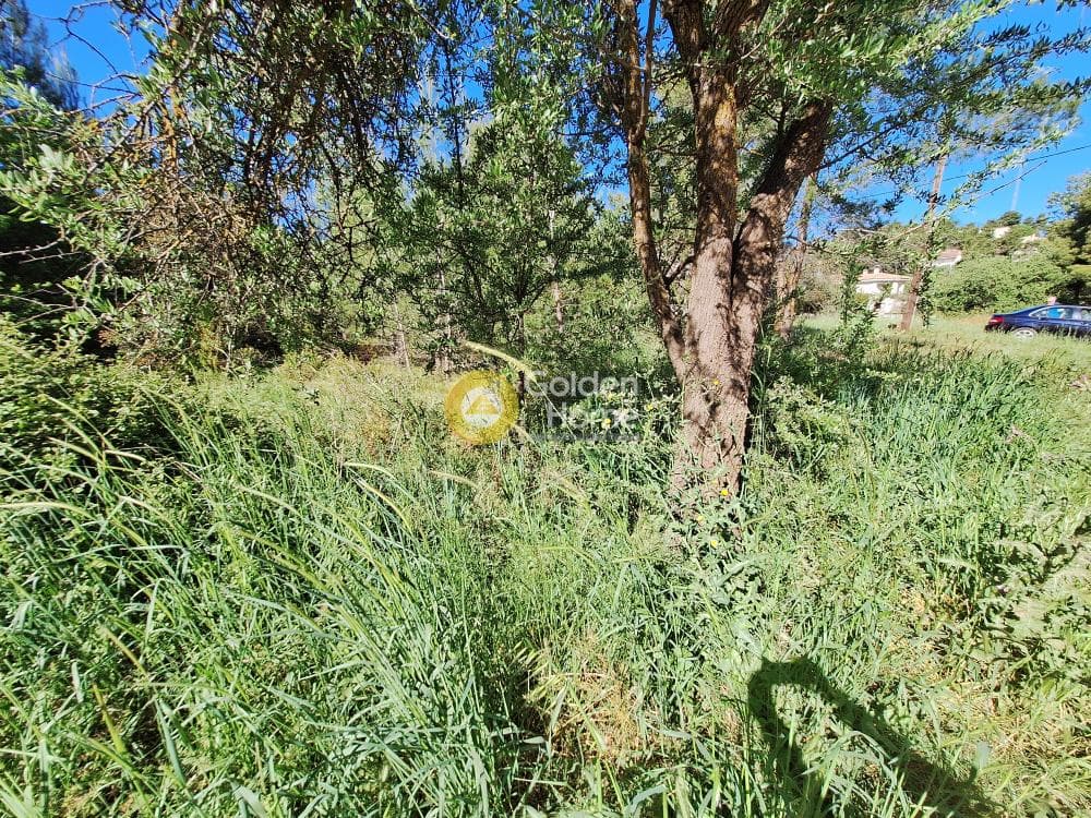 Building Plot in Kapitenia, Agios Stefanos — Photo 14 of 24