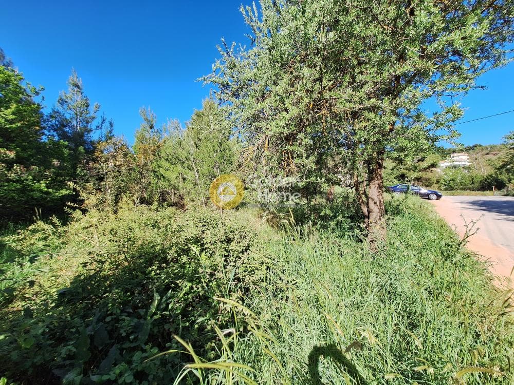 Building Plot in Kapitenia, Agios Stefanos — Photo 15 of 24