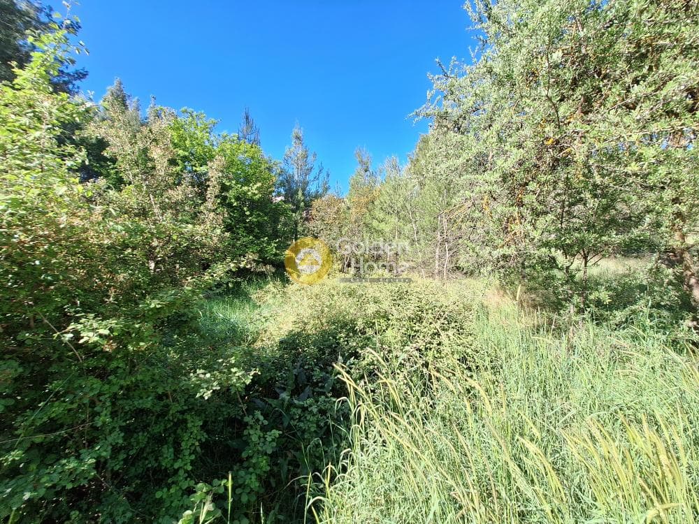 Building Plot in Kapitenia, Agios Stefanos — Photo 16 of 24