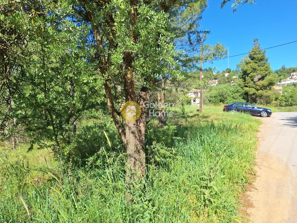 Building Plot in Kapitenia, Agios Stefanos — Photo 17 of 24
