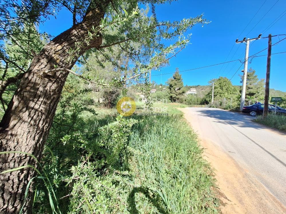 Building Plot in Kapitenia, Agios Stefanos — Photo 22 of 24