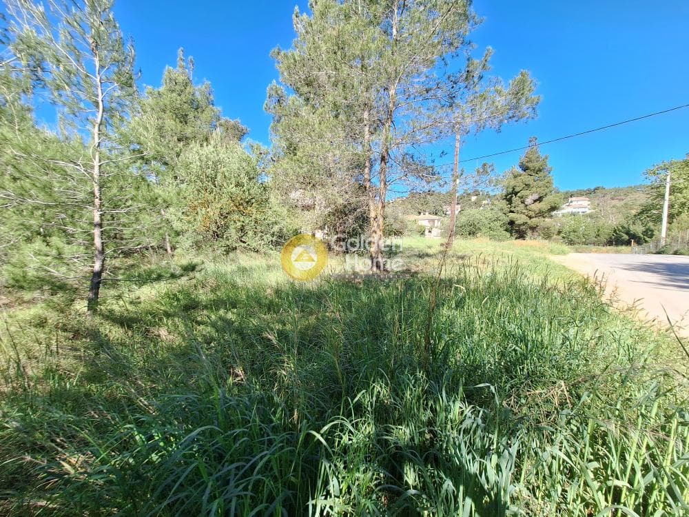 Building Plot in Kapitenia, Agios Stefanos — Photo 23 of 24