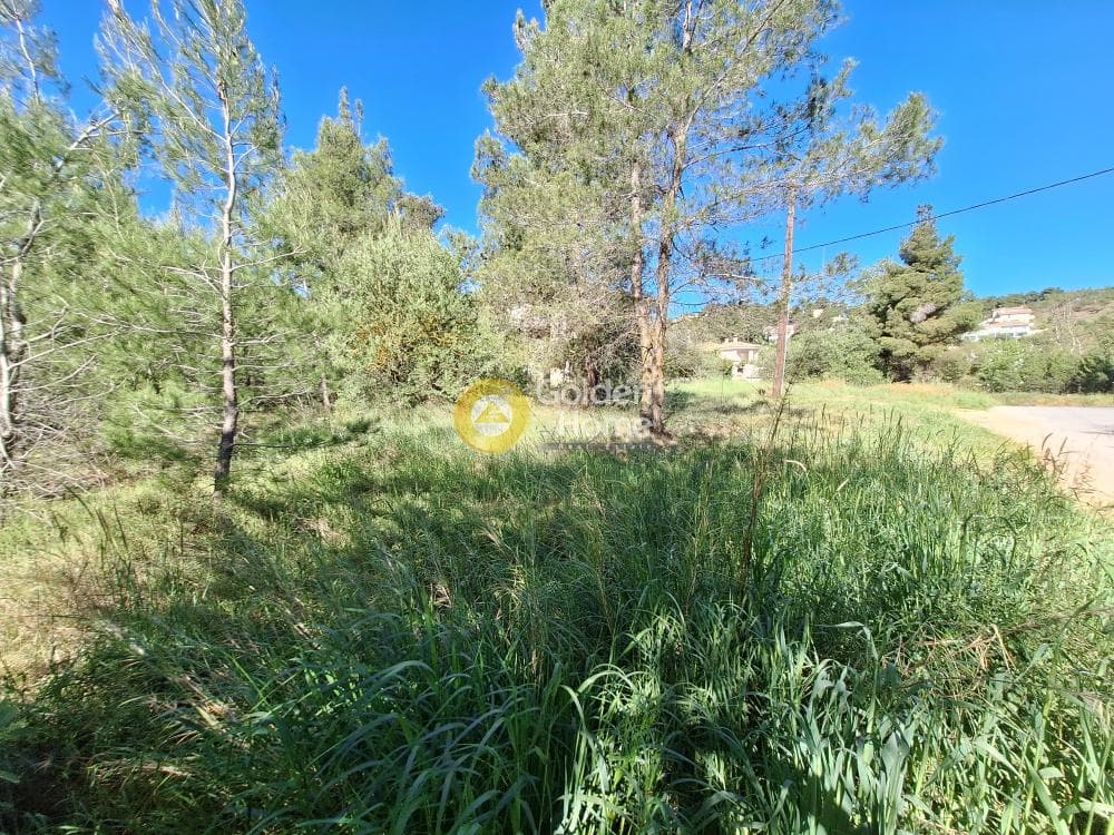 Building Plot in Kapitenia, Agios Stefanos — Photo 24 of 24