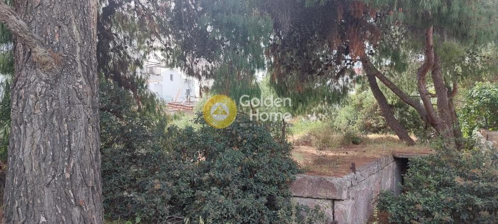 Οικόπεδο στην Αδάμες (Οικισμός Γράμμος - Φοίνικας), Κηφισιά — Φωτογραφία 4 από 5