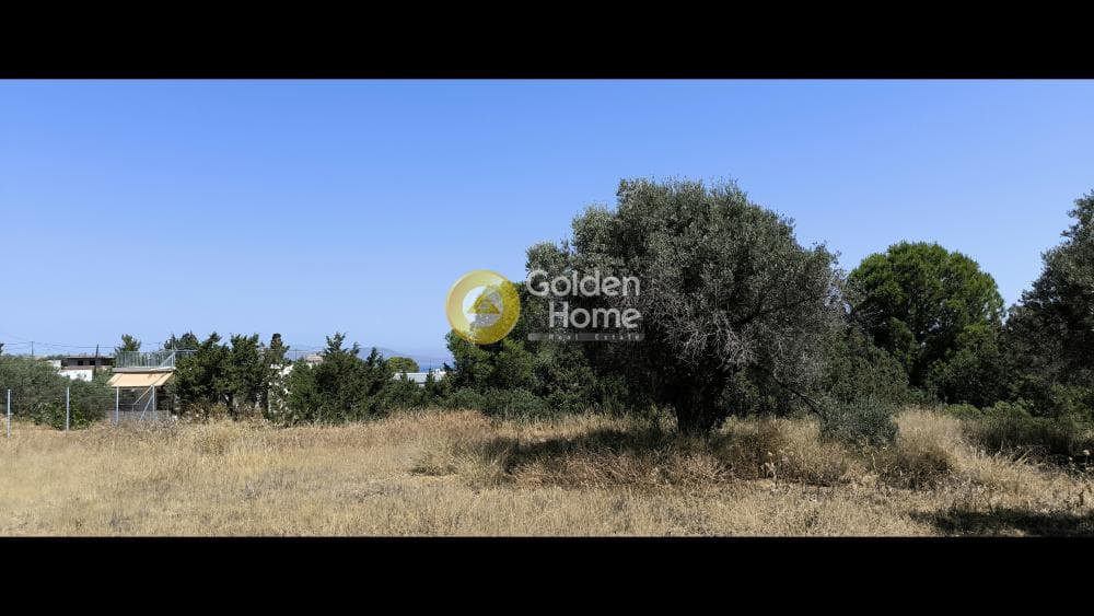 Building Plot in Therma, Aegina — Photo 3 of 4