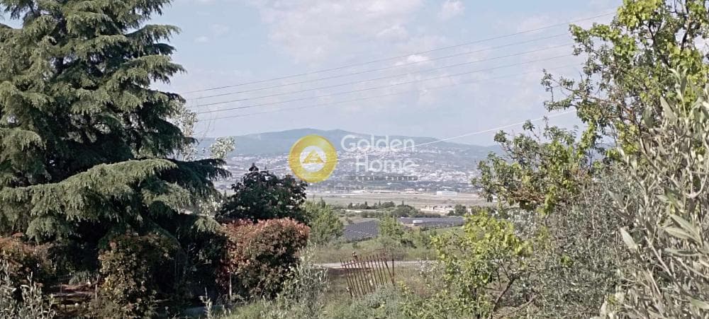Μονοκατοικία στην Πλαγιάρι, Μίκρα — Φωτογραφία 21 από 26