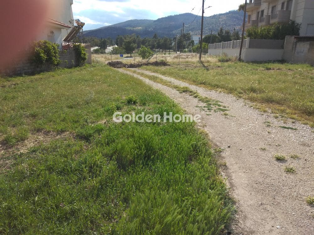 Οικόπεδο στην Μεγάλα Σχοινία Α, Αχαρνές — Φωτογραφία 5 από 8