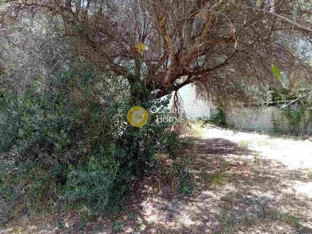 Οικόπεδο στην Αγία Αικατερίνη, Ηράκλειο Κρήτης — Φωτογραφία 1 από 2