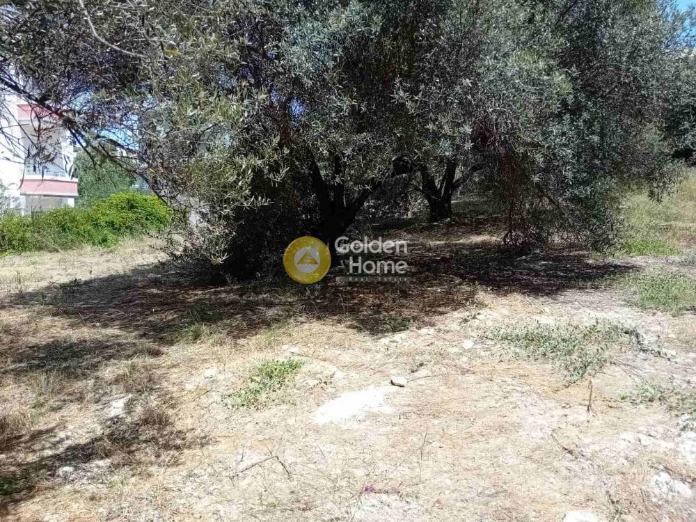 Οικόπεδο στην Αγία Αικατερίνη, Ηράκλειο Κρήτης — Φωτογραφία 2 από 2