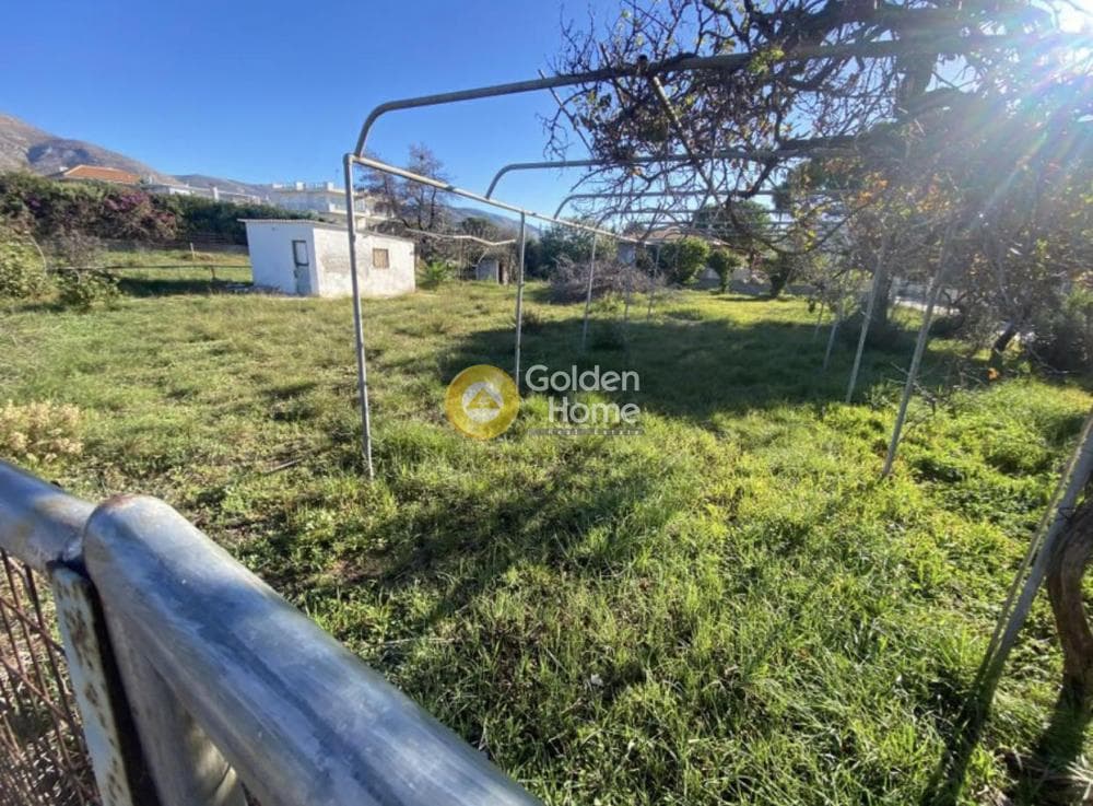 Building Plot in Kalivia, Kalivia Thorikou — Photo 5 of 8