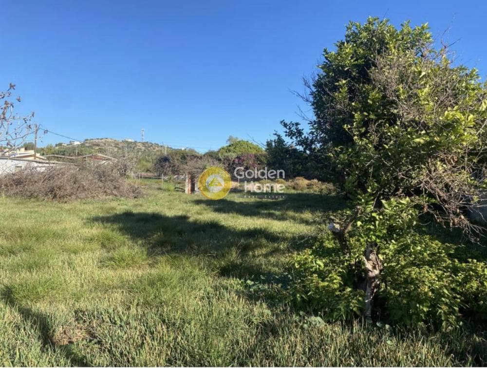 Building Plot in Kalivia, Kalivia Thorikou — Photo 1 of 6
