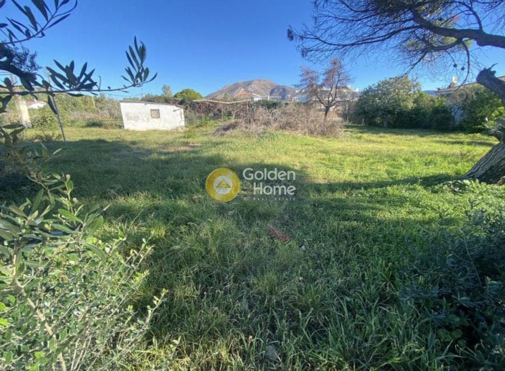 Building Plot in Kalivia, Kalivia Thorikou — Photo 5 of 6