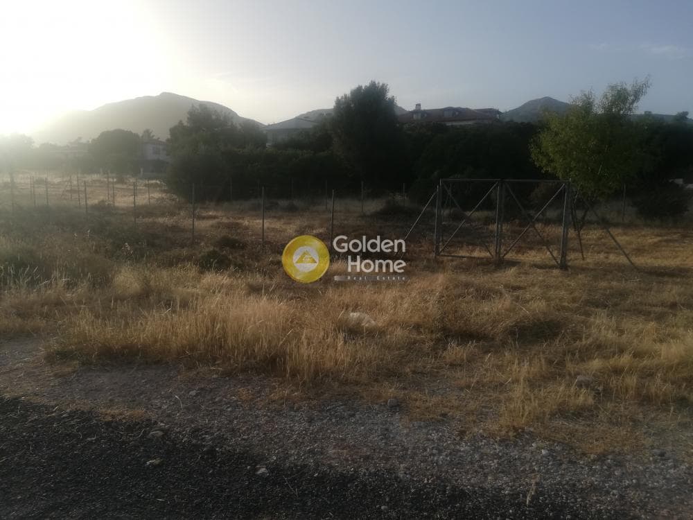 Parcel in Megala Sxoinia A, Acharnes — Photo 4 of 5