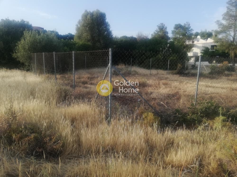Parcel in Megala Sxoinia A, Acharnes — Photo 3 of 5