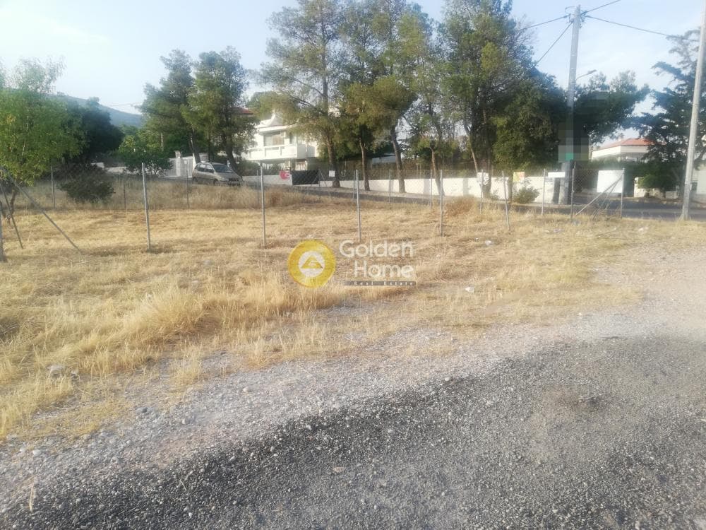 Parcel in Megala Sxoinia A, Acharnes — Photo 2 of 5