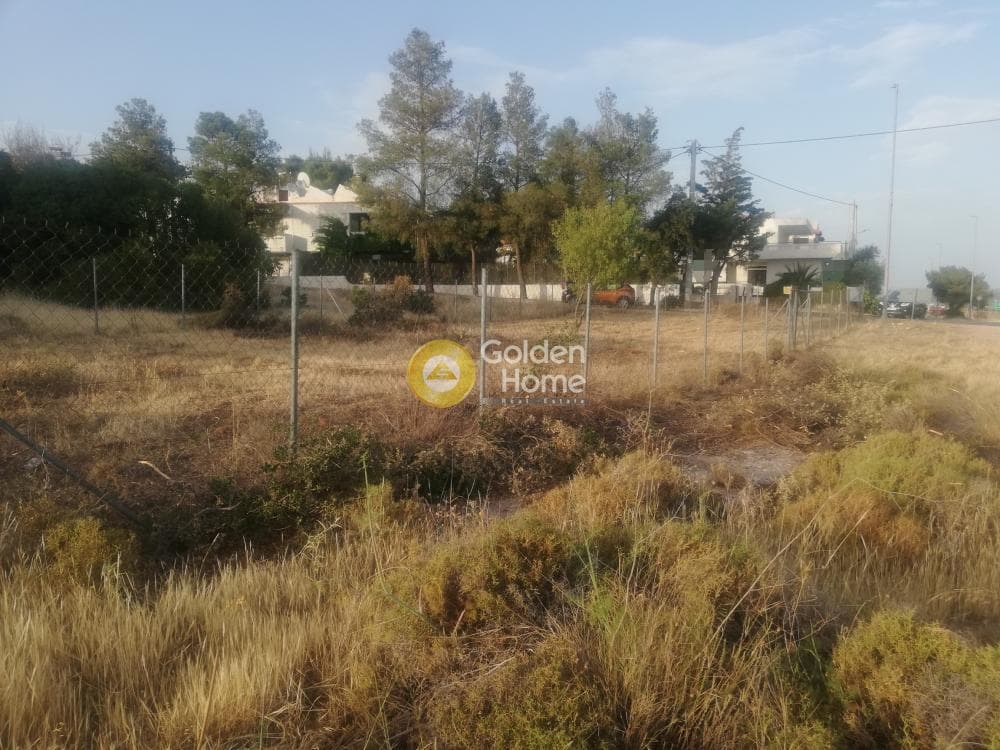 Parcel in Megala Sxoinia A, Acharnes — Photo 5 of 5
