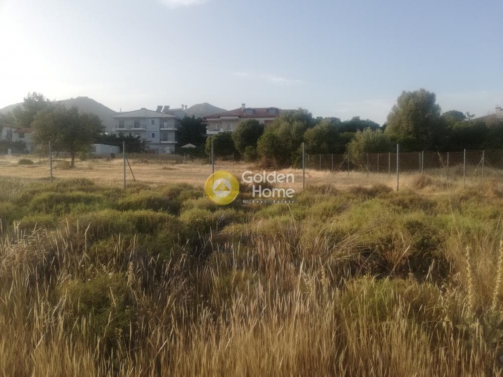 Building Plot in Megala Sxoinia A, Acharnes — Photo 5 of 7