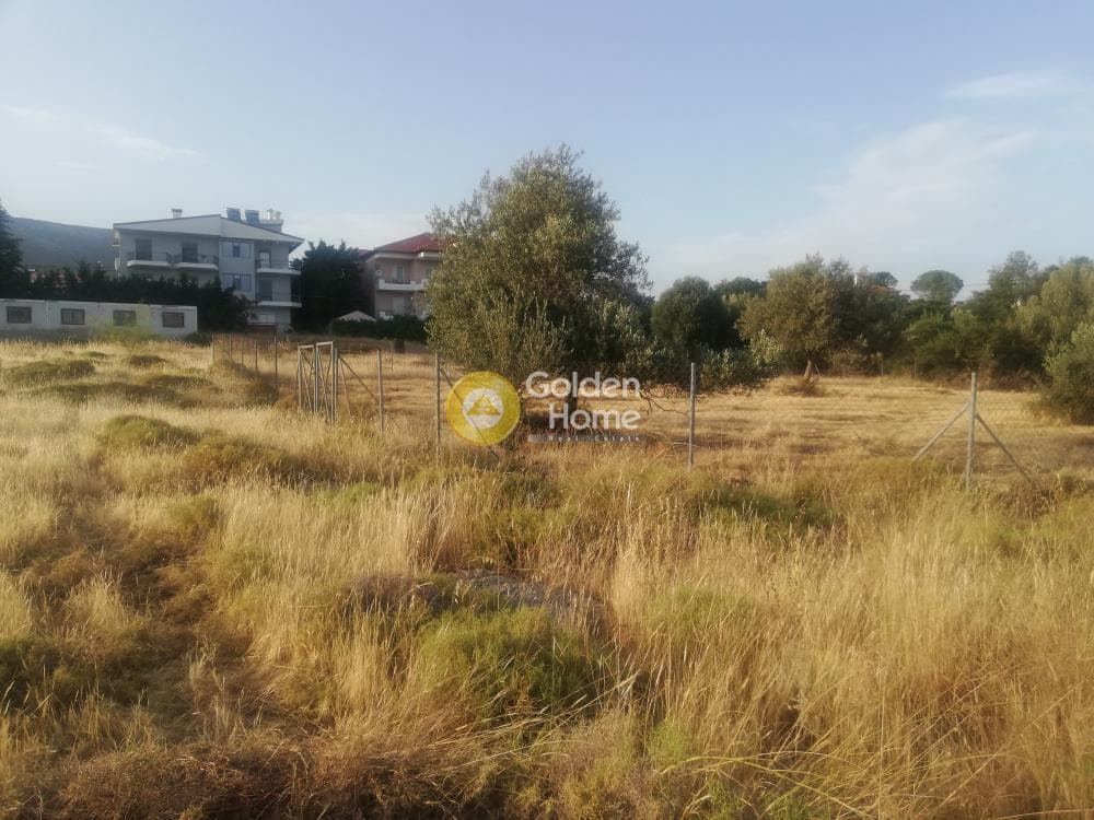 Building Plot in Megala Sxoinia A, Acharnes — Photo 7 of 7