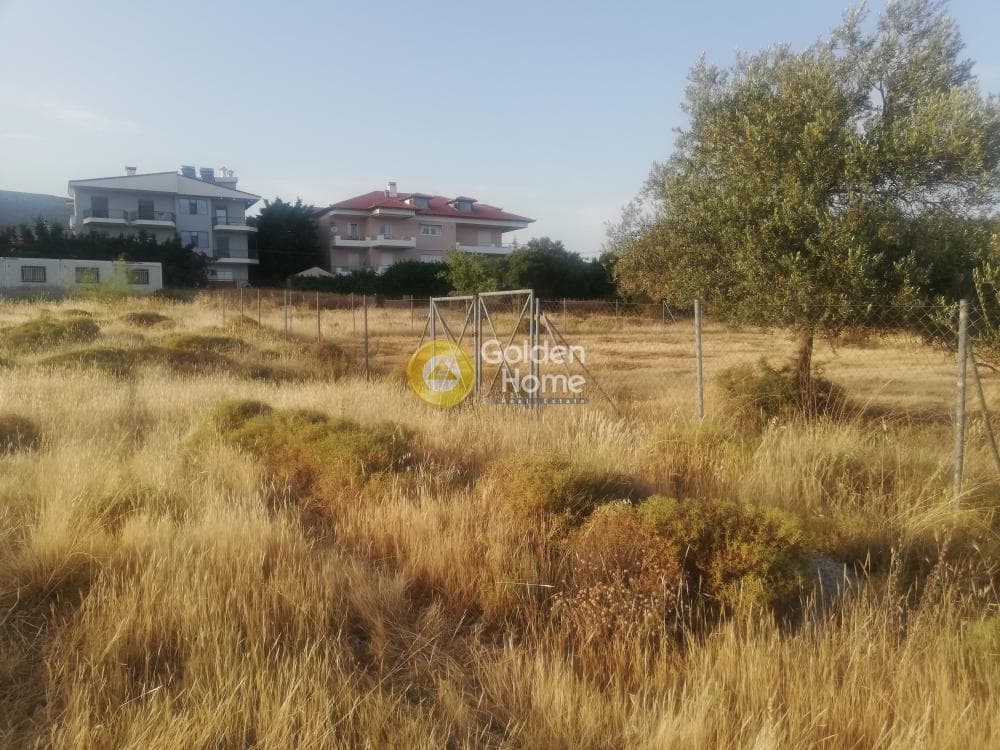 Building Plot in Megala Sxoinia A, Acharnes — Photo 2 of 7