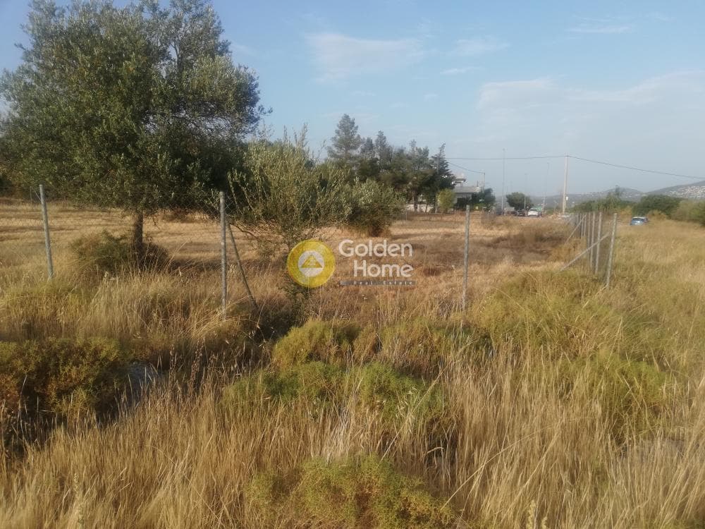 Building Plot in Megala Sxoinia A, Acharnes — Photo 3 of 7