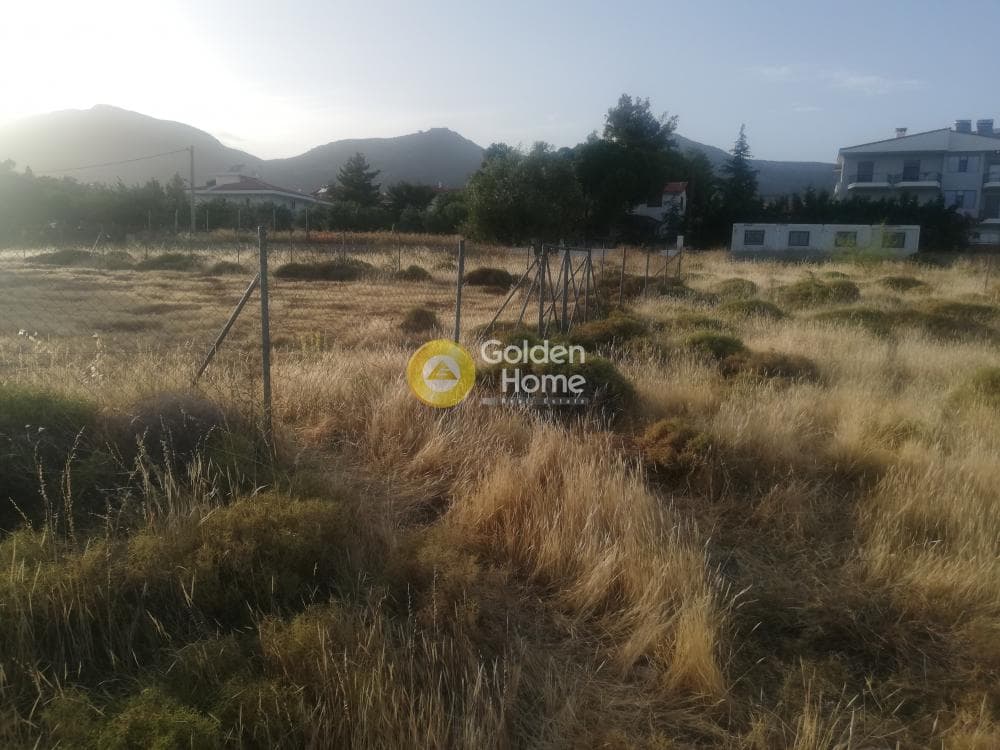 Building Plot in Megala Sxoinia A, Acharnes — Photo 5 of 5