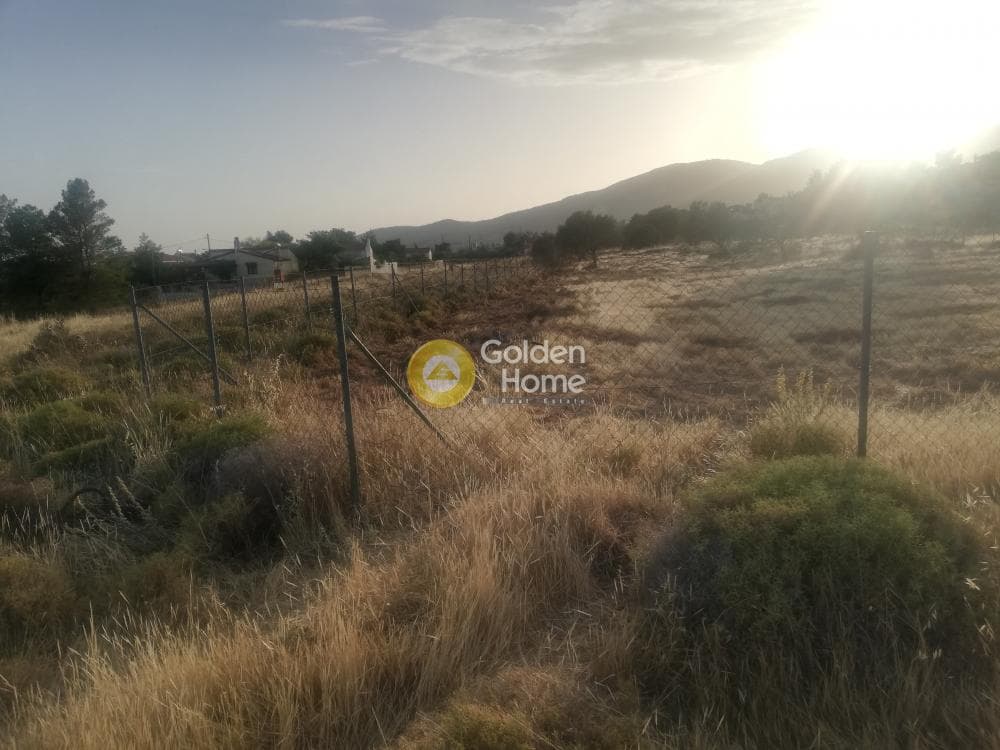 Building Plot in Megala Sxoinia A, Acharnes — Photo 4 of 5
