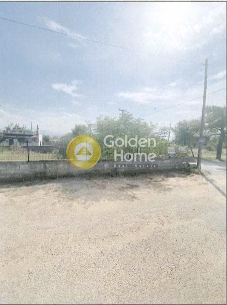 Building Plot in Megala Sxoinia A, Acharnes — Photo 3 of 7