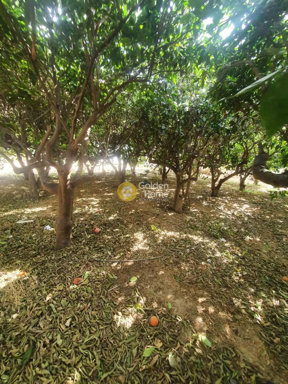 Building Plot in Palaiokastro, Gazi — Photo 2 of 2