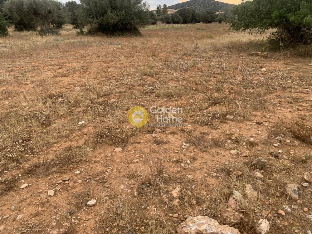 Αγροτεμάχιο στην ΒΙ.ΠΕ, Κορωπί