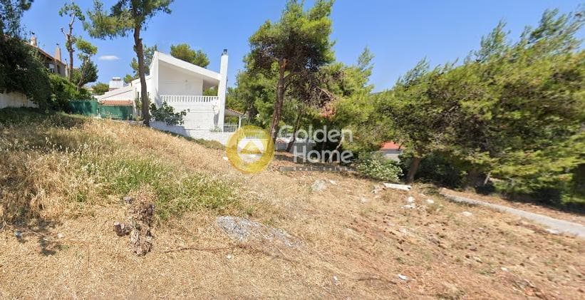 Οικόπεδο στην Ανθούσα, Ανθούσα