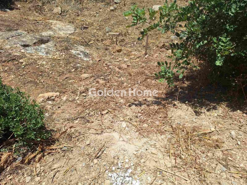 Building Plot in Palaiokastro, Gazi — Photo 3 of 13